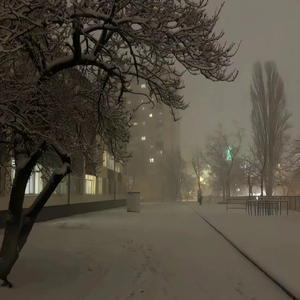 欧美片巜蜜桃臀熟1
